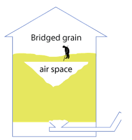 bridged grain graphic